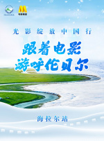 草你